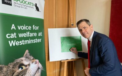 Islwyn MP calls for cats to be included in any new pet abduction offence