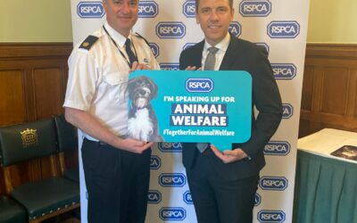Chris Evans MP supports the RSCPA’s calls for stronger animal welfare legislation